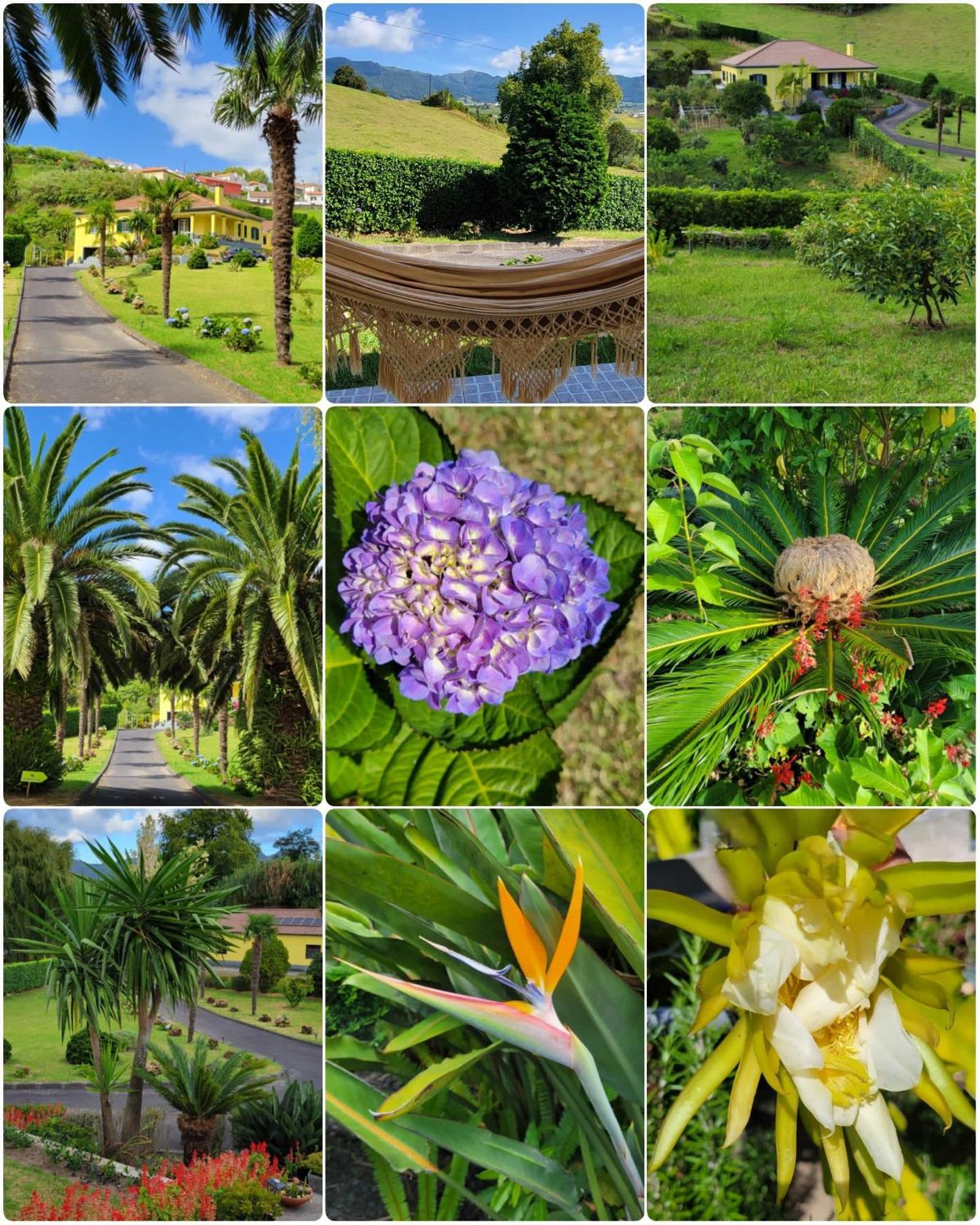 Quinta Das Palmeiras Povoacao  Exteriér fotografie